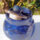 Boite ventrue bleue