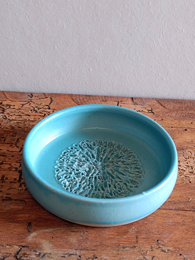 Gratte-ail-bleu-turquoise